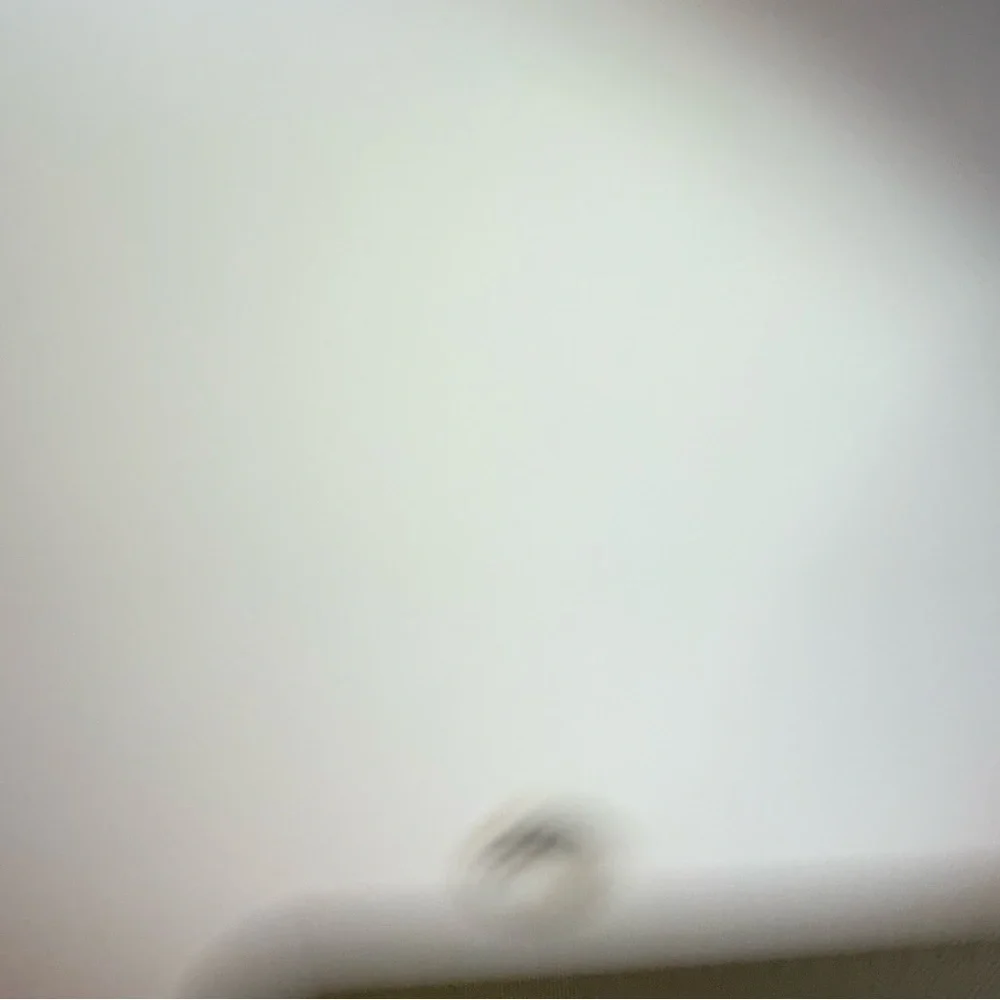 Dearfoam Slippers - Picture 2 of 4